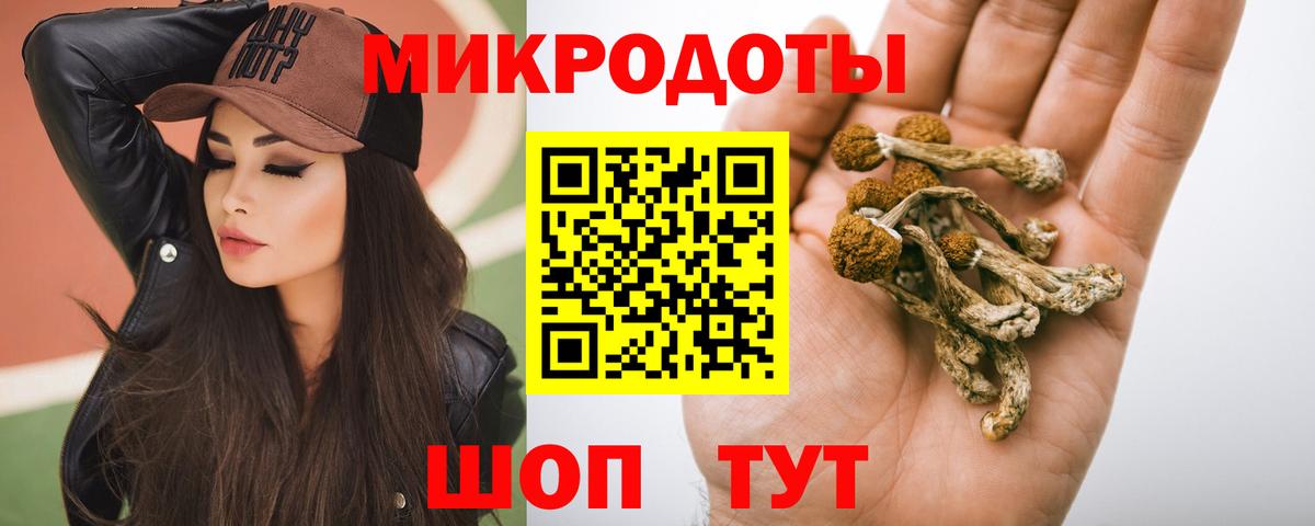 Галлюциногенные грибы Magic Shrooms  Псилоцибиновые грибы ЛСД  Северск  Вход с VPN 