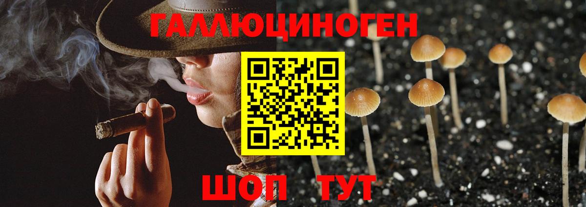 Псилоцибиновые грибы GOLDEN TEACHER Северск